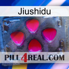 Jiushidu 13